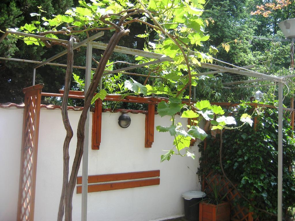 Guest House Yanina Varna Esterno foto